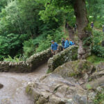 Aira Force waterfall - Lake district