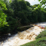 Aysgarth Falls - Yorkshire Dales