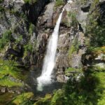 Breifossen