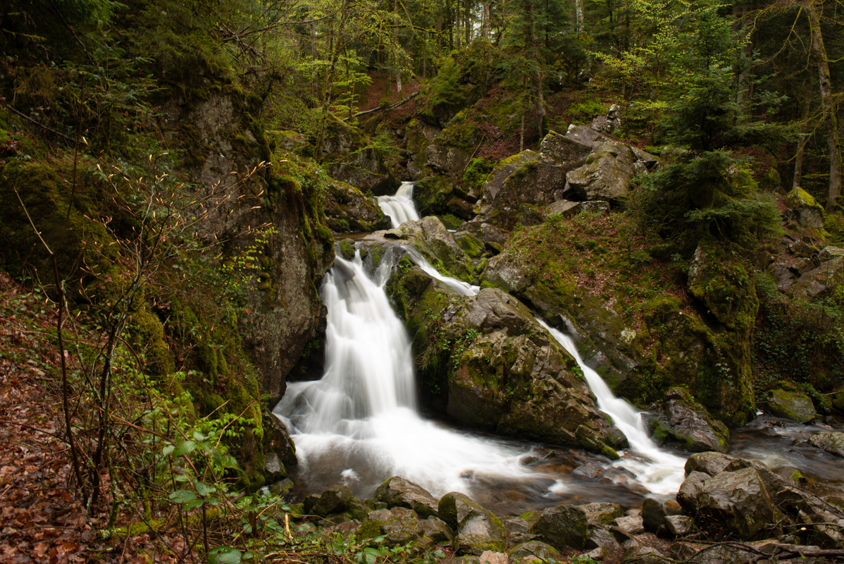 Cascade de Tendon