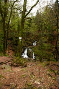 Cascade de Tendon