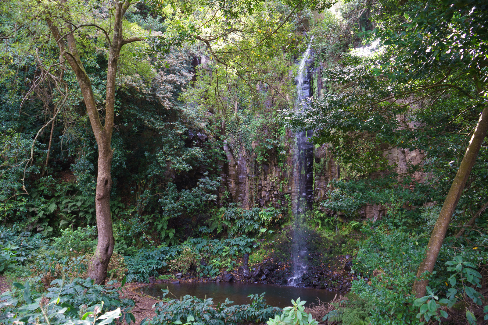 Cascata Agua D'Alto / Cascata Aguage- Santana