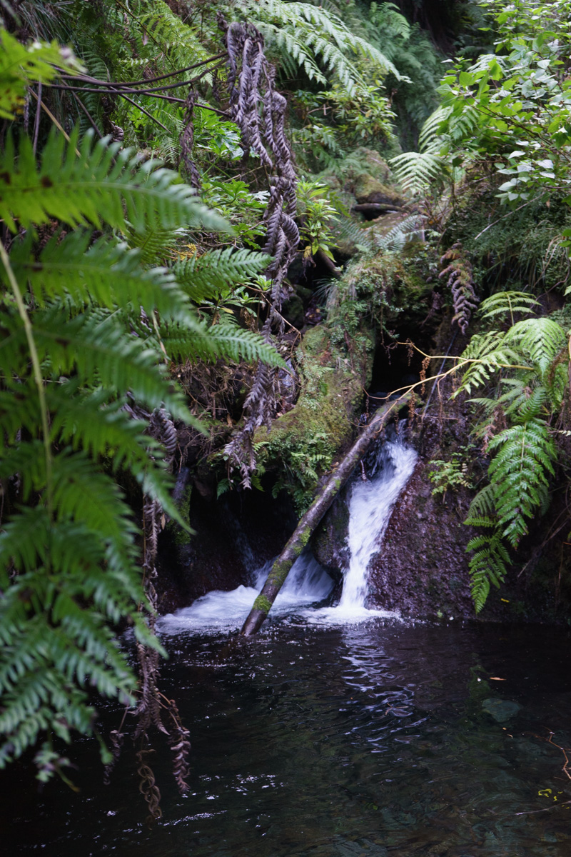 Levada Faja do Rodrigues: Cascata Ribeira do Inferno
