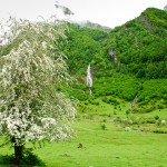 Cascade de Madeleine