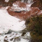 Dachserfall