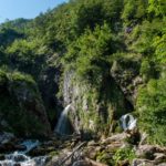 Dachserfall