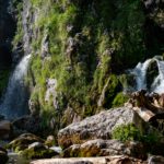 Dachserfall