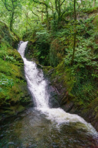 Dolgoch Waterfall