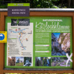 Kitzlochklamm wasserfall