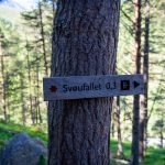 Svoufallet-trail