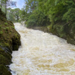 Swallow Falls - Rhaeadr Ewynnol