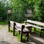 Tvinnefossen-picnic